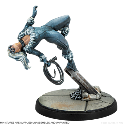 Amazing Spider-Man and Black Cat