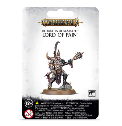 Warhammer Age of Sigmar Señor del dolor