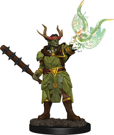 Pathfinder Battles: Figura pintada premium - W2 Half-Ord Druild Male