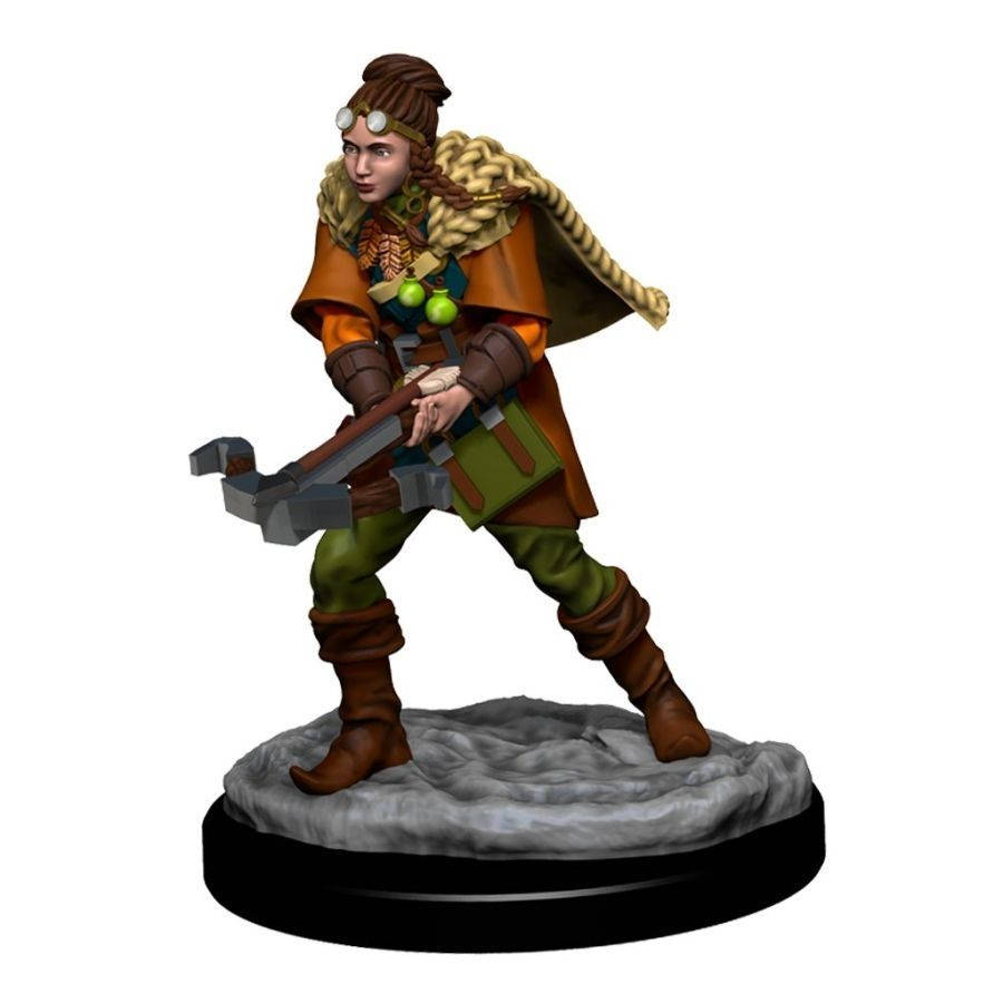 Dungeons &amp; Dragons: Iconos de los Reinos Miniaturas Premium