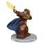 Dungeons &amp; Dragons: Iconos de los Reinos Miniaturas Premium