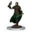 Dungeons &amp; Dragons: Iconos de los Reinos Miniaturas Premium